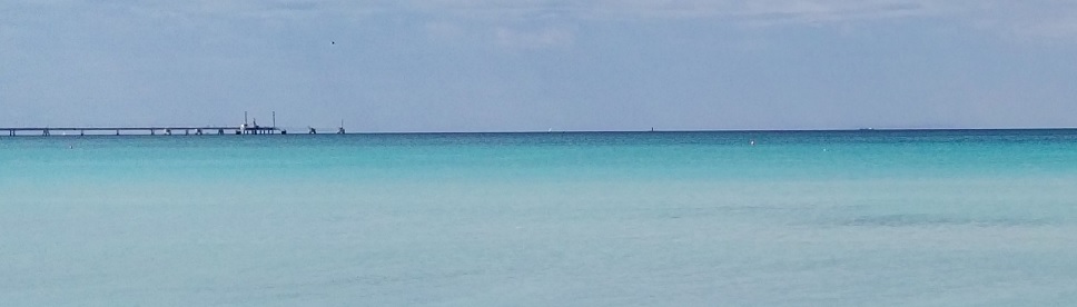 Vada, spiagge bianche - 2017